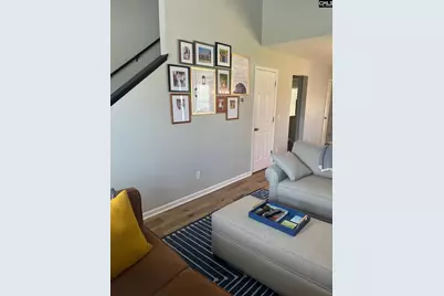 100 Recluse Street, Chapin, SC 29036 - Photo 8