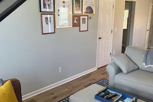 100 Recluse St, Chapin, SC 29036 - Photo 8