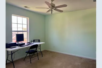 100 Recluse Street, Chapin, SC 29036 - Photo 14