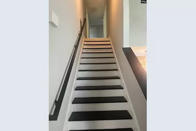 100 Recluse Street, Chapin, SC 29036 - Photo 12