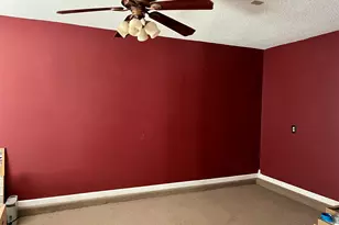 100 Recluse St, Chapin, SC 29036 - Photo 18