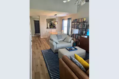 100 Recluse Street, Chapin, SC 29036 - Photo 4