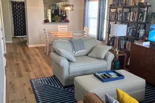 100 Recluse St, Chapin, SC 29036 - Photo 4