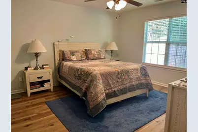 100 Recluse Street, Chapin, SC 29036 - Photo 10