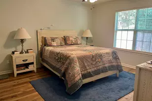 100 Recluse St, Chapin, SC 29036 - Photo 10