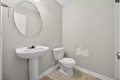 324 Wild Olive Drive, Columbia, SC 29229 - Photo 10