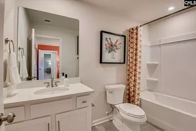 357 Chapin Place Way, Chapin, SC 29036 - Photo 52