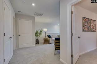 357 Chapin Pl Wy, Chapin, SC 29036 - Photo 42