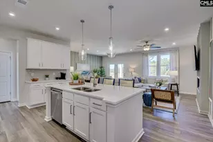 357 Chapin Pl Wy, Chapin, SC 29036 - Photo 8