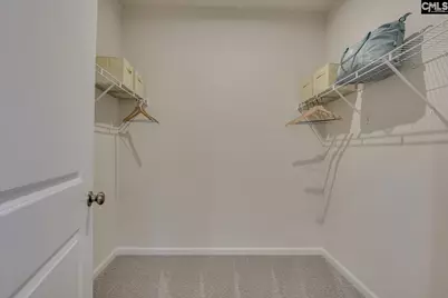 357 Chapin Place Way, Chapin, SC 29036 - Photo 24