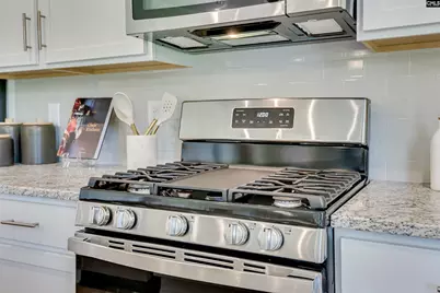 338 Chapin Place Way, Chapin, SC 29036 - Photo 8