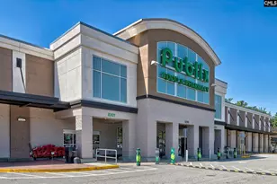 338 Chapin Pl Wy, Chapin, SC 29036 - Photo 22