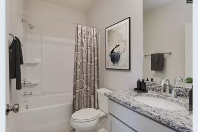 338 Chapin Place Way, Chapin, SC 29036 - Photo 14