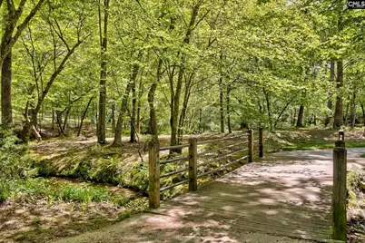 338 Chapin Place Way, Chapin, SC 29036 - Photo 34