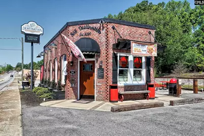 338 Chapin Place Way, Chapin, SC 29036 - Photo 30