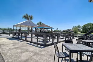 338 Chapin Pl Wy, Chapin, SC 29036 - Photo 26