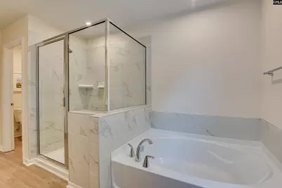 338 Chapin Place Way, Chapin, SC 29036 - Photo 14