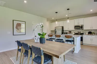 338 Chapin Place Way, Chapin, SC 29036 - Photo 4