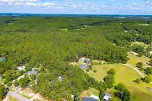 2249 Pepper Rd, Lexington, SC 29073 - Photo 40