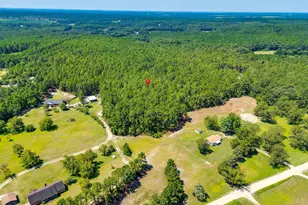 2249 Pepper Rd, Lexington, SC 29073 - Photo 38