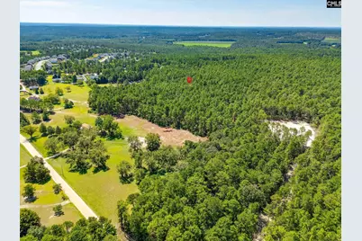 2249 Pepper Road, Lexington, SC 29073 - Photo 46