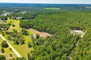 2249 Pepper Rd, Lexington, SC 29073 - Photo 46