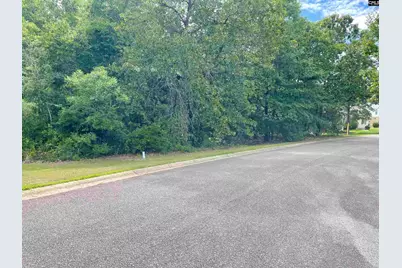 409 Upland Trail Road #73, Elgin, SC 29045 - Photo 2