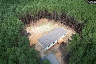 832 Horses Neck Rd, Swansea, SC 29160 - Photo 26