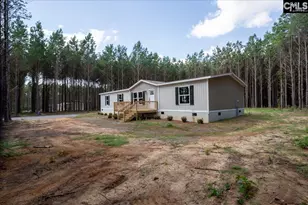832 Horses Neck Rd, Swansea, SC 29160 - Photo 2