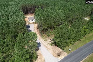 832 Horses Neck Rd, Swansea, SC 29160 - Photo 30