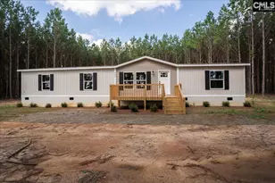 832 Horses Neck Rd, Swansea, SC 29160 - Photo 1