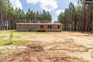 832 Horses Neck Rd, Swansea, SC 29160 - Photo 4