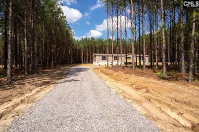 846 Horses Neck Road, Sandy Run, SC 29160 - Photo 1