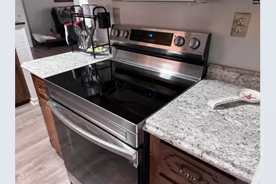 195 Lexington Lane, Chapin, SC 29036 - Photo 32