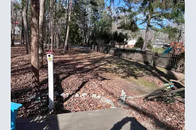 195 Lexington Lane, Chapin, SC 29036 - Photo 10