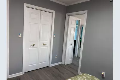 195 Lexington Lane, Chapin, SC 29036 - Photo 40