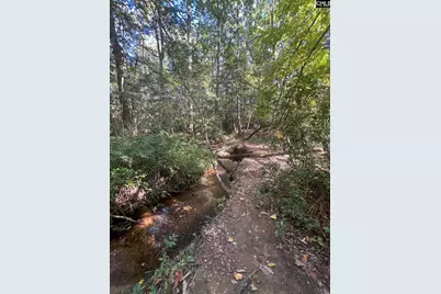 0 Roper Mountain Court, Lexington, SC 29073 - Photo 8