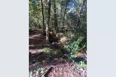 0 Roper Mountain Court, Lexington, SC 29073 - Photo 4