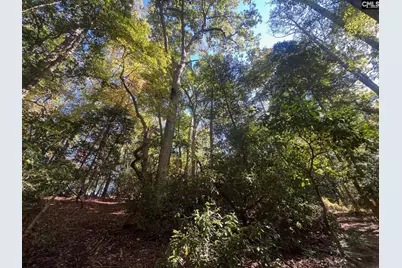 0 Roper Mountain Court, Lexington, SC 29073 - Photo 1