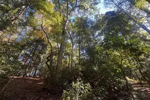 0 Roper Mountain Ct, Lexington, SC 29073 - Photo 1