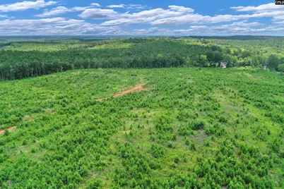 0000 Hwy 215 4 #4, Jenkinsville, SC 29065 - Photo 12