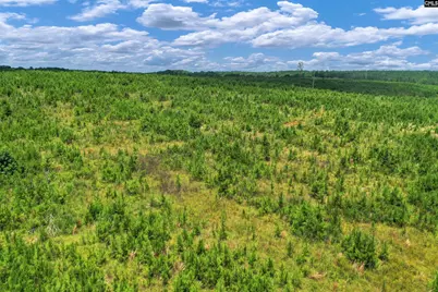 0000 Hwy 215 4 #4, Jenkinsville, SC 29065 - Photo 28