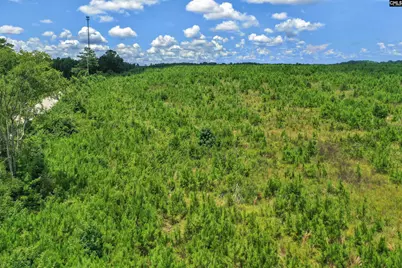 0000 Hwy 215 4 #4, Jenkinsville, SC 29065 - Photo 30