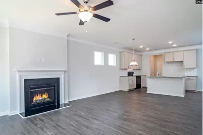 178 Secretariat Street, Lexington, SC 29073 - Photo 4