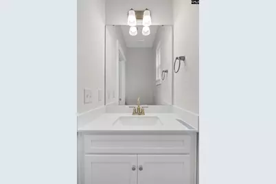 182 Secretariat Street, Lexington, SC 29073 - Photo 12