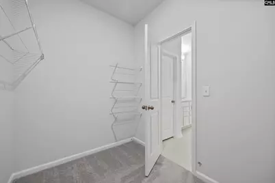 110 Monroe Preserve Drive, Chapin, SC 29036 - Photo 18