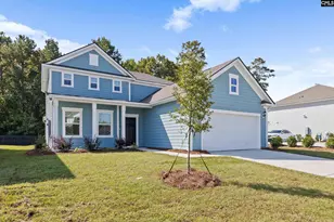 110 Monroe Preserve Dr, Chapin, SC 29036 - Photo 2