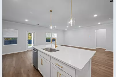 110 Monroe Preserve Drive, Chapin, SC 29036 - Photo 10