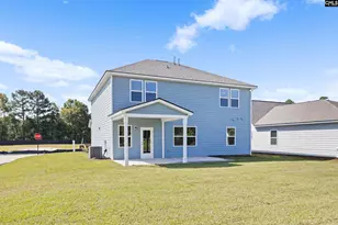 133 Monroe Preserve Dr, Chapin, SC 29036 - Photo 46