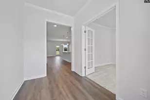 133 Monroe Preserve Dr, Chapin, SC 29036 - Photo 4